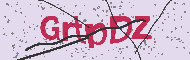 Captcha認証コード